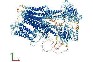 Protein Structure (PS) image for ATP-Binding Cassette, Sub-Family C (CFTR/MRP), Member 8 (ABCC8) (AA 1-1581) protein (His tag) (ABIN7551762)