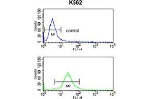 Flow Cytometry (FACS) image for anti-Solute Carrier Family 3 Member 1 (SLC3A1) antibody (ABIN3003916) (SLC3A1 Antikörper)