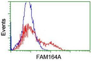 Image no. 1 for anti-Family with Sequence Similarity 164, Member A (FAM164A) antibody (ABIN1498199) (FAM164A Antikörper)