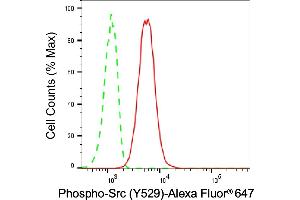 Flow cytometric analysis of Phospho-Src (Y529) expression in C2C12 cells using Phospho-Src (Y529) antibody (ABIN7800051), 1:2,000). (Rekombinanter Src Antikörper  (pTyr529))
