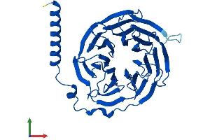 Protein Structure (PS) image for Guanine Nucleotide Binding Protein (G Protein), beta Polypeptide 3 (GNB3) (AA 1-340) protein (His tag) (ABIN7557647)