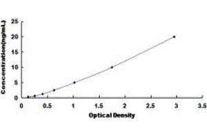 Typical standard curve (BIRC6 ELISA Kit)