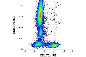 Flow cytometry surface staining pattern of human peripheral whole blood stained using anti-human CD172g (OX-119) PE antibody (10 μL reagent / 100 μL of peripheral whole blood). (SIRPG Antikörper  (PE))
