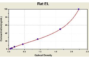 Diagramm of the ELISA kit to detect Rat ELwith the optical density on the x-axis and the concentration on the y-axis. (LIPG ELISA Kit)