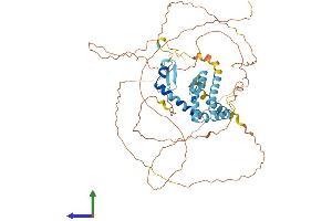 AlphaFold protein structure predicition of Human Recombinant ZNF326 Protein, UniprotID Q5BKZ1 (ZNF326 Protein (AA 1-582) (His tag))