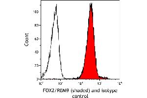 Flow Cytometry (FACS) image for anti-RNA Binding Motif Protein 9 (RBM9) (AA 1-50) antibody (ABIN7454009)
