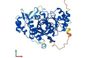 Protein Structure (PS) image for Inositol Polyphosphate-1-Phosphatase (INPP1) (AA 1-396) protein (His tag) (ABIN7563338)