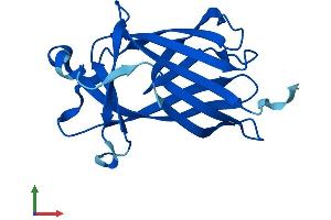 Protein Structure (PS) image for Cannabinoid Receptor Interacting Protein 1 (Cnrip1) (AA 1-164) protein (His tag) (ABIN7557471)