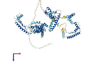 UBTF Protein (AA 1-764) (His tag)