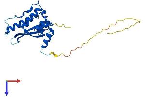 SNX10 Protein (AA 1-201) (His tag)