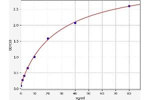 Lectin, Galactoside-Binding, Soluble, 3 Binding Protein (LGALS3BP) ELISA Kit