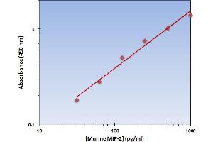 Chemokine (C-X-C Motif) Ligand 2 (CXCL2) ELISA Kit