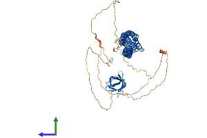 Protein Structure (PS) image for BAI1-Associated Protein 2-Like 2 (BAIAP2L2) (AA 1-529) protein (His tag) (ABIN7552763)