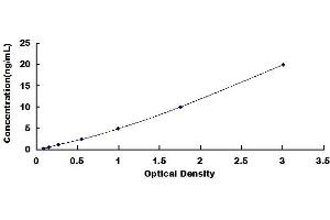 Typical standard curve (JNK2 ELISA Kit)