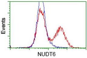 HEK293T cells transfected with either RC203470 overexpress plasmid (Red) or empty vector control plasmid (Blue) were immunostained by anti-NUDT6 antibody (ABIN2454163), and then analyzed by flow cytometry. (NUDT6 Antikörper)