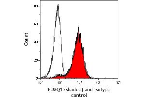 Flow Cytometry (FACS) image for anti-Forkhead Box Q1 (FOXQ1) (AA 353-403) antibody (ABIN7455177) (Rekombinanter FOXQ1 Antikörper  (AA 353-403))