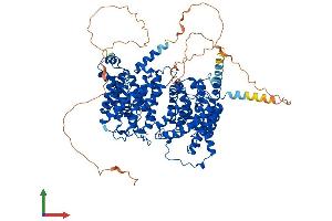 AlphaFold protein structure predicition of Human Recombinant SLC14A2 Protein, UniprotID Q15849 (Solute Carrier Family 14 (Urea Transporter, Kidney) Member 2 (SLC14A2) (AA 1-920) protein (His tag))