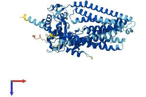 Anoctamin 10 Protein (ANO10) (AA 1-659) (His tag)