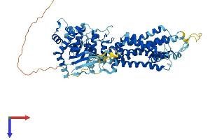 ABCG5 Protein (AA 1-652) (His tag)