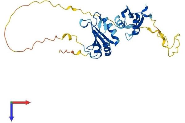 SNRPA1 Protein (AA 1-287) (His tag)