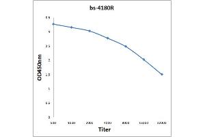 Antigen: 2 µg/100 µL  Primary: Antiserum, 1:500, 1:1000, 1:2000, 1:4000, 1:8000, 1:16000, 1:32000;  Secondary: HRP conjugated Rabbit Anti-Goat IgG at 1: 5000;  TMB staining Read the data in Microplate Reader by 450nm. (P2RY2 Antikörper  (AA 21-120))