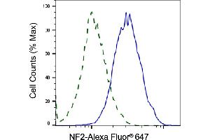 Validation of NF2 knockdown using flow cytometry. (Rekombinanter Merlin Antikörper)