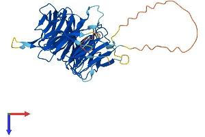 NUP43 Protein (AA 1-380) (His tag)