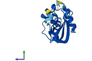 Protein Structure (PS) image for tRNA Methyltransferase 11-2 (TRMT112) (AA 1-125) protein (His tag) (ABIN7544584)