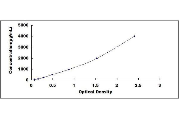 IGFBP5 ELISA Kit