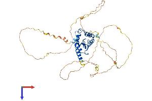 SMAP2 Protein (AA 1-428) (His tag)
