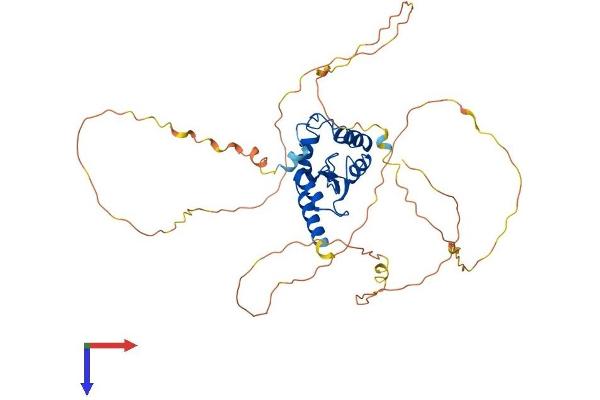 SMAP2 Protein (AA 1-428) (His tag)