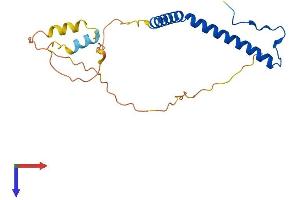 Protein Structure (PS) image for Aurora Kinase A Interacting Protein 1 (AURKAIP1) (AA 1-200) protein (His tag) (ABIN7561337)