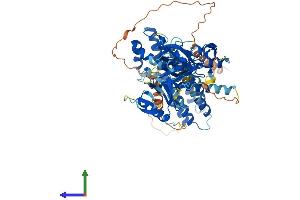 Protein Structure (PS) image for FYVE, RhoGEF and PH Domain Containing 2 (FGD2) (AA 1-655) protein (His tag) (ABIN7559012)