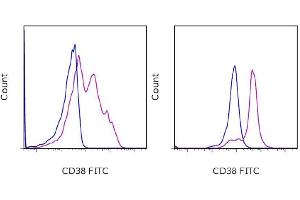 Flow Cytometry (FACS) image for anti-CD38 antibody (APC) (ABIN2144236) (CD38 Antikörper  (APC))