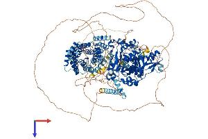 KDM6A Protein (AA 1-1401) (His tag)