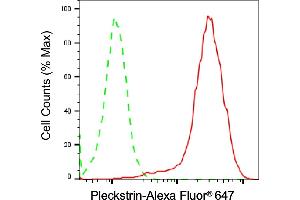 anti-Pleckstrin (PLEK) antibody