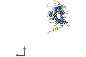 Protein Structure (PS) image for Adrenoceptor alpha 1A (ADRA1A) (AA 1-466) protein (His tag) (ABIN7556823)