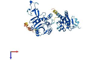 CMAS Protein (AA 1-432) (His tag)