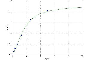Carcinoembryonic Antigen-Related Cell Adhesion Molecule 1 (CEACAM1) ELISA Kit