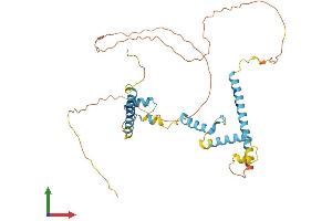 Protein Structure (PS) image for arginine/serine-Rich Coiled-Coil 2 (RSRC2) (AA 1-376) protein (His tag) (ABIN7561984)