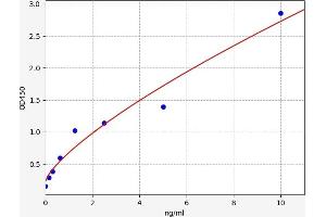 TIMP Metallopeptidase Inhibitor 4 (TIMP4) ELISA Kit