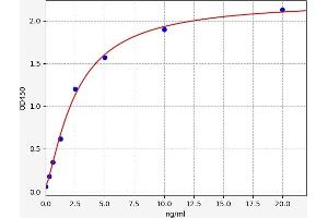 KPNA2 ELISA Kit