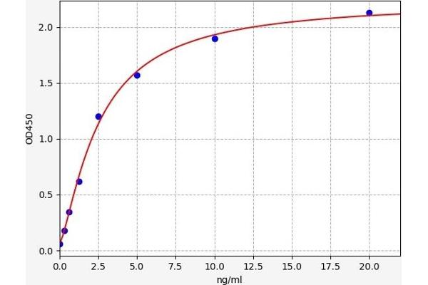 KPNA2 ELISA Kit