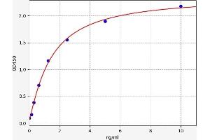 MTOR ELISA Kit