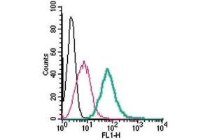 Cell surface detection of Adenosine A2A Receptor by direct flow cytometry in live intact mouse J774 macrophage cells: (black line) Cells.