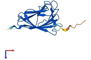TIFAB Protein (AA 1-147) (His tag)