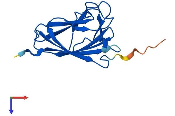 TIFAB Protein (AA 1-147) (His tag)