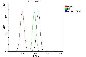 Flow Cytometry analysis of A549 cells using anti-SULT2B1 antibody (ABIN3043414).