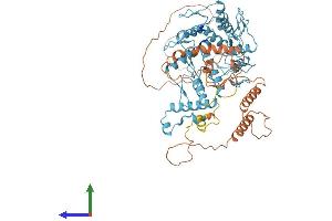 AlphaFold protein structure predicition of Human Recombinant ZNF790 Protein, UniprotID Q6PG37