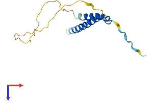 CDK2AP2 Protein (AA 1-127) (His tag)